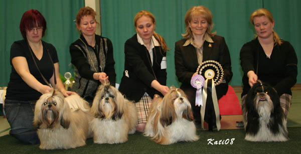 Erikoisnayttely02032008Lovelions