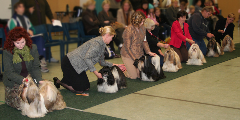 Erikoisnayttely16092007 208