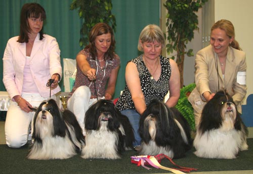 erikoisnayttely2006ROPkasvFossella