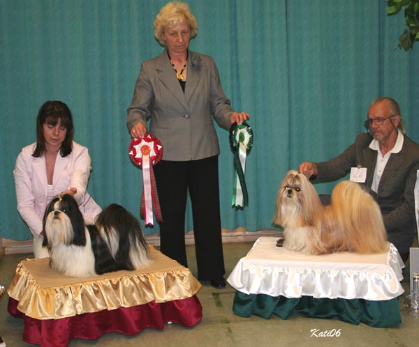 erikoisnayttely2006ROPVSP