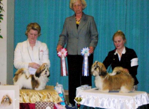 erikoisnayttely2006ROPVSPpennut