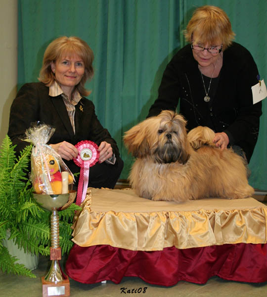 Erikoisnayttely2008ROPpentu