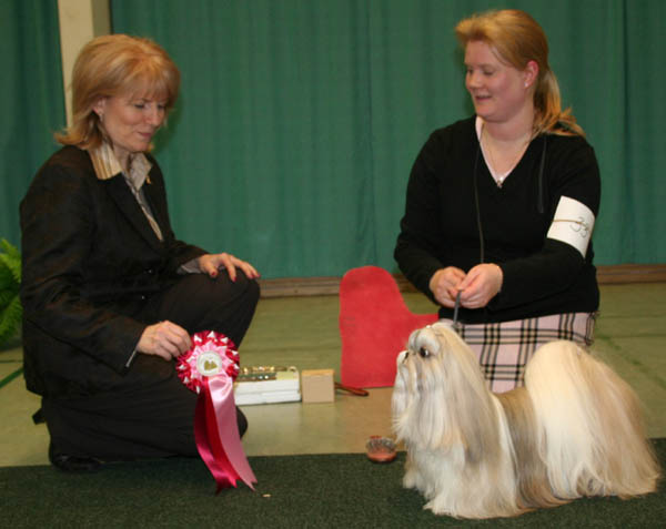 Erikoisnayttely2008ROPveteraani