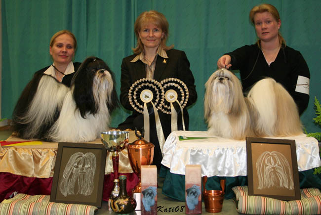 Erikoisnayttely2008RopVsp