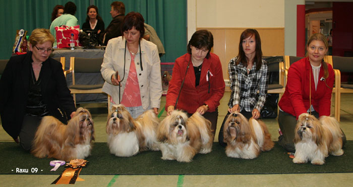 erikoisnayttely2009RopJalk