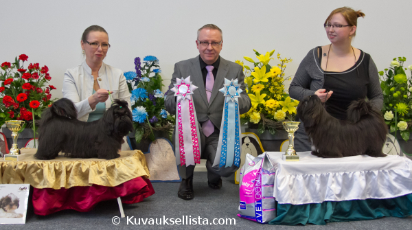 Erkkari18032012RopVspPennut