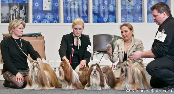 Erkkari18032012TamariaKasv