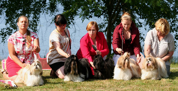 Erkkari2010Jalkelais1