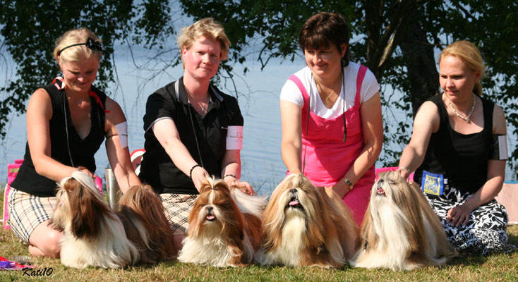 Erkkari2010KennelTaMaria1