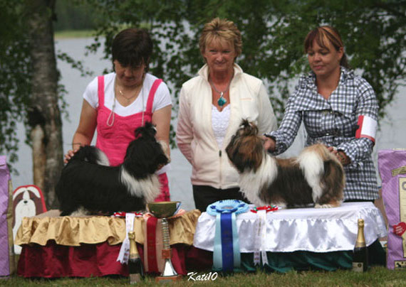 Erkkari2010RopVsppennut