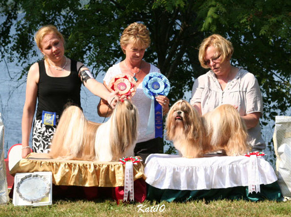 Erkkari2010RopVspveteraanit