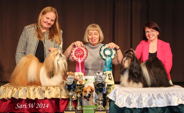 Erkkari2014Veteraanit