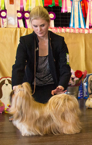 Erkkari2015 SERT narttu