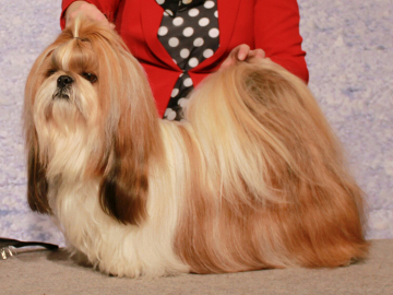 LAC-ME'S INSTANT KARMA