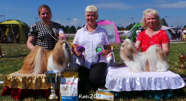 PoriKV28072013RopVspVet