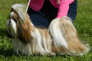 SAN FUN MATERIAL GIRL Maisa(1)