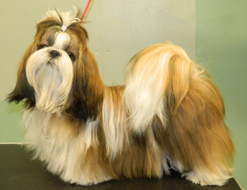 SAN FUN MATERIAL GIRL