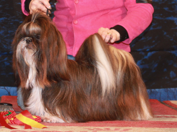 SanFunSalsaRomantica