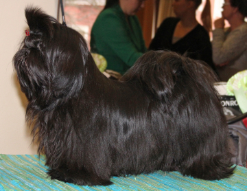 SHAN'LANS SHANGRI-LA