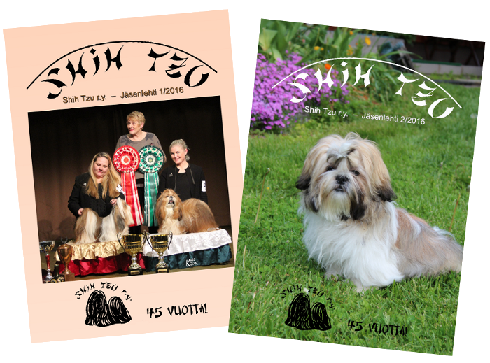 ST lehti 1-2 2016kansi