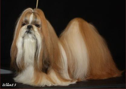 ST4TaMariaSugarDaddy