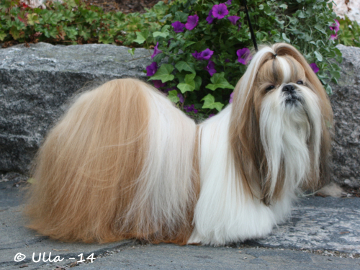 TA MARIA SUGAR DADDY