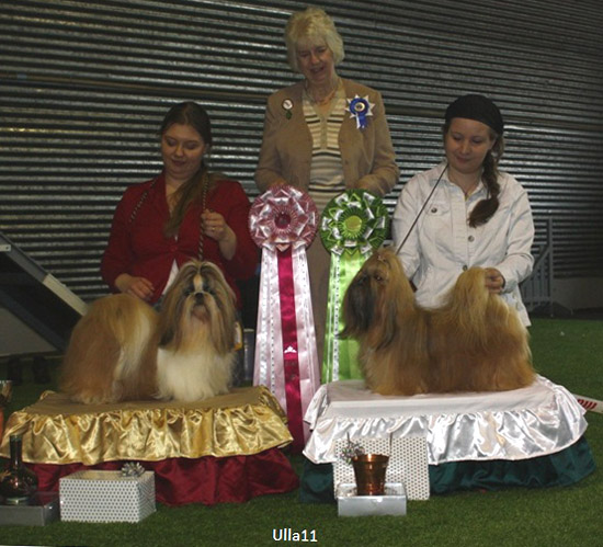 Veikkola03042011RopVsp1