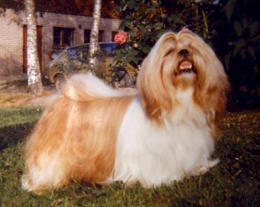 1984 BoreasImperialLovespot Jal