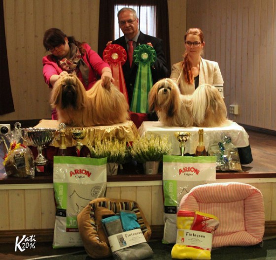 clubshow16102016ropvsp