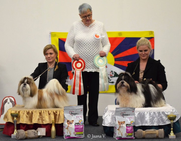 erikois2017_ropjuniori