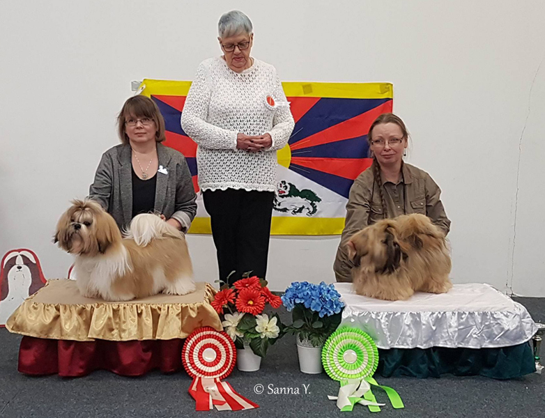 erikois2017_roppentu