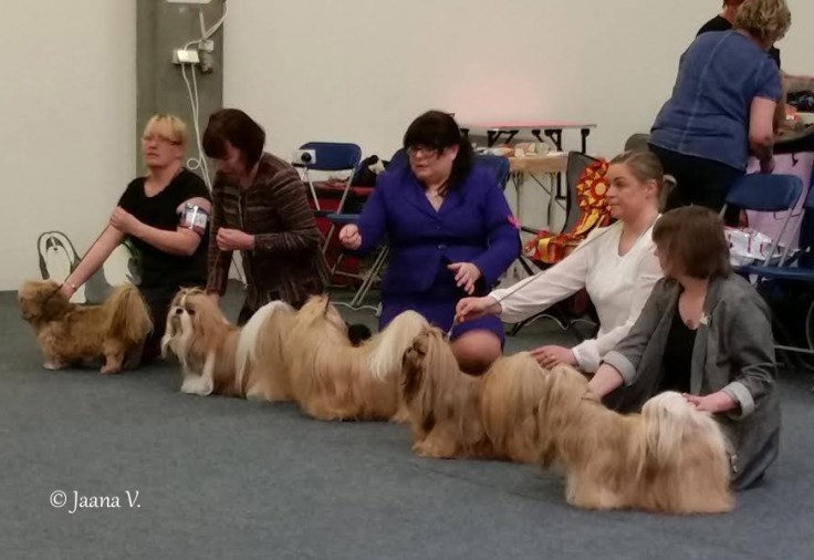 erikois_2017ropjalkelais