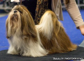 clubshow08112015san-fun-valid-vision31