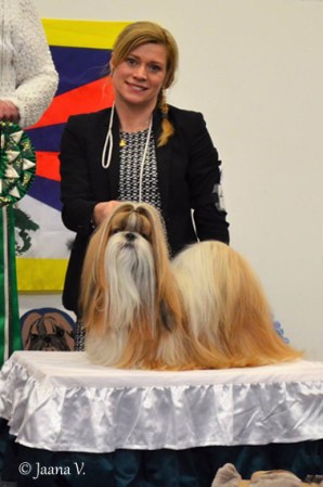 erikois2017_narttusert