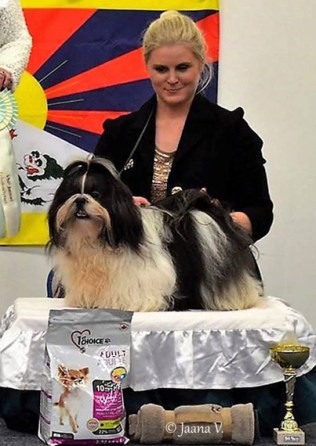 erikois2017_urossert