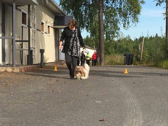 21389476_10156162111244587_1200298357_o