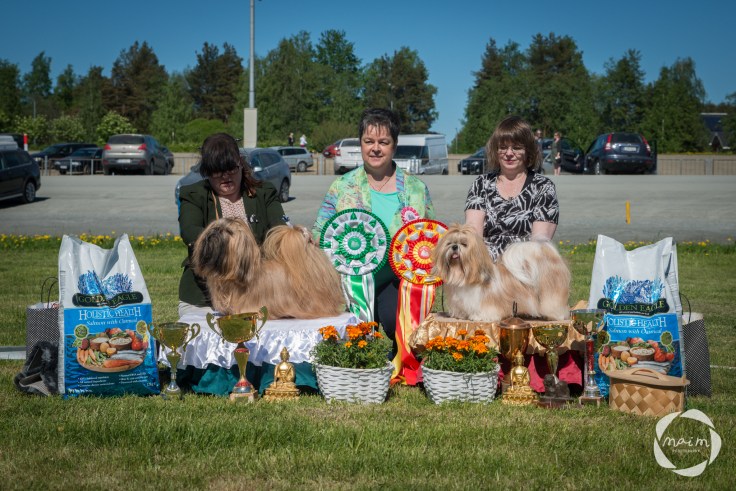 Shihzu_erikoisnayttely27.5.2018_mai_monkkonen_NETTIKOKO (215 of 217)