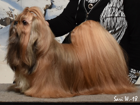 Veteraani_2018_1_ISO