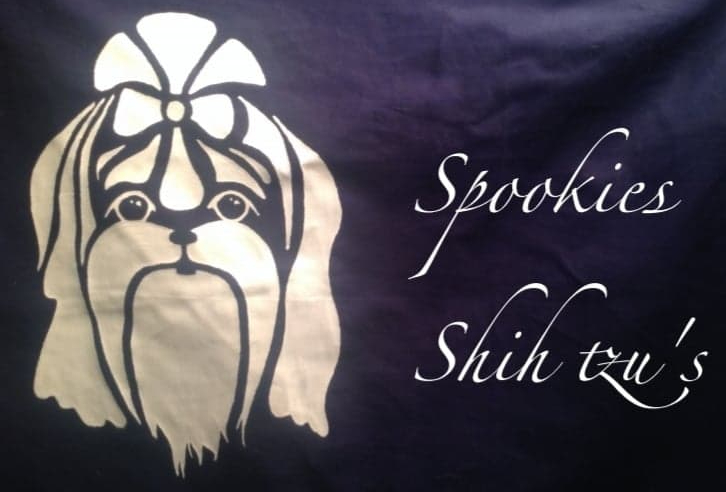 170213676_3854982527924429_1315337490459607632_n