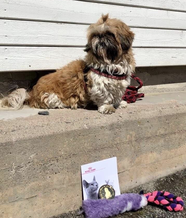 a7332aab-176a-4245-adba-6e3fc6583b87