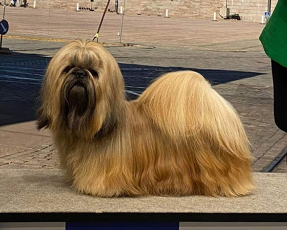 FI & EE JMVA TLNJW-22 PMJV-22
JO-KIN’S NAME SO NICE YOU SAY IT TWICE
om. Sari Tuomivirta