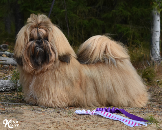 CAMELLE ROBBIE BURNS
om. Kati Mäkelä