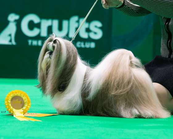 C.I.B FI & NO & LT MVA JV-18 TLNJW-19 V-21 V-22 NOV-22
JO-KIN’S FORGET THE BRAIN USE THE HAIR
om. Jennika Orpana