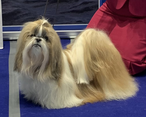 vuoden-veteraani-st-2022